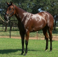 Rachel's Best Friend